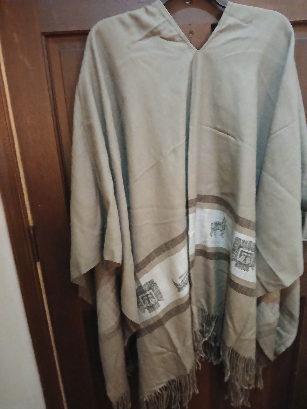 Neutral Fringe Poncho with Patterned Trim Boho Whimsigoth